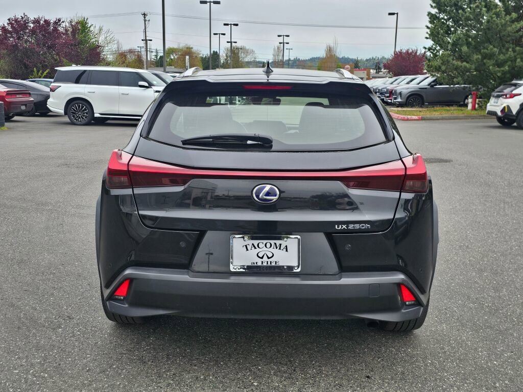 Used 2019 Lexus UX 250h w/ Premium Package image 6