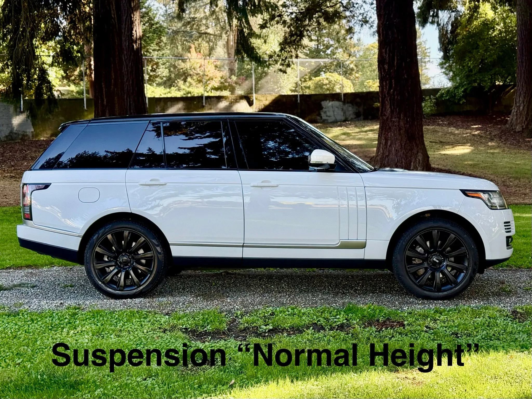 Used 2014 Land Rover Range Rover Supercharged image 8