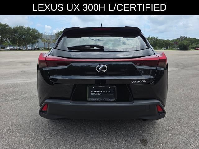 Used 2025 Lexus UX 300h FWD w/ Cold Area Package image 4