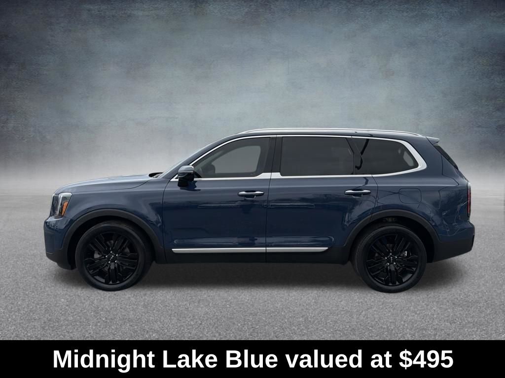 Used 2023 Kia Telluride SX Prestige image 2