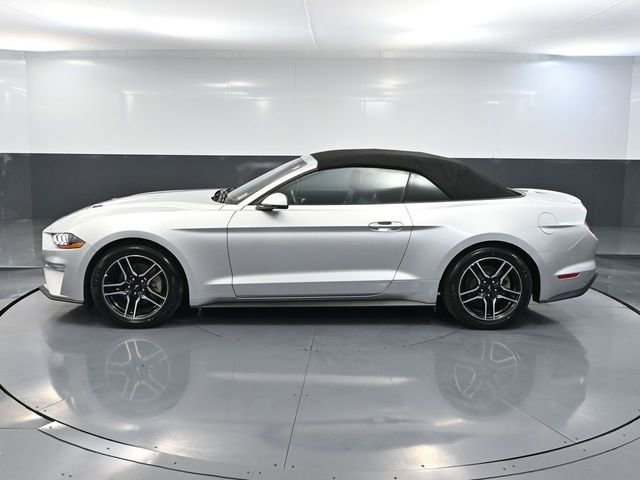Used 2018 Ford Mustang Premium w/ Equipment Group 201A image 9