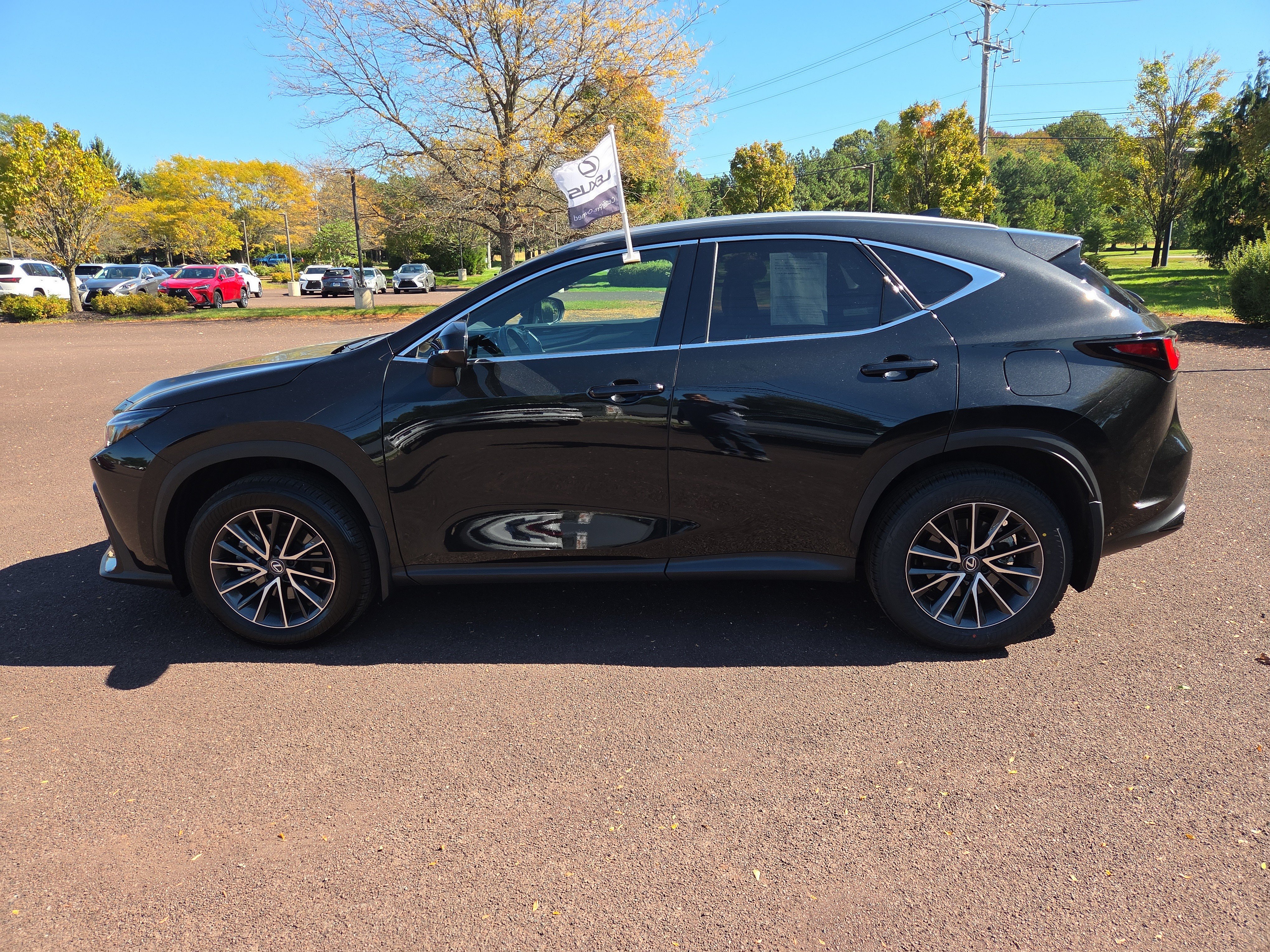 Certified 2024 Lexus NX 250 FWD image 6