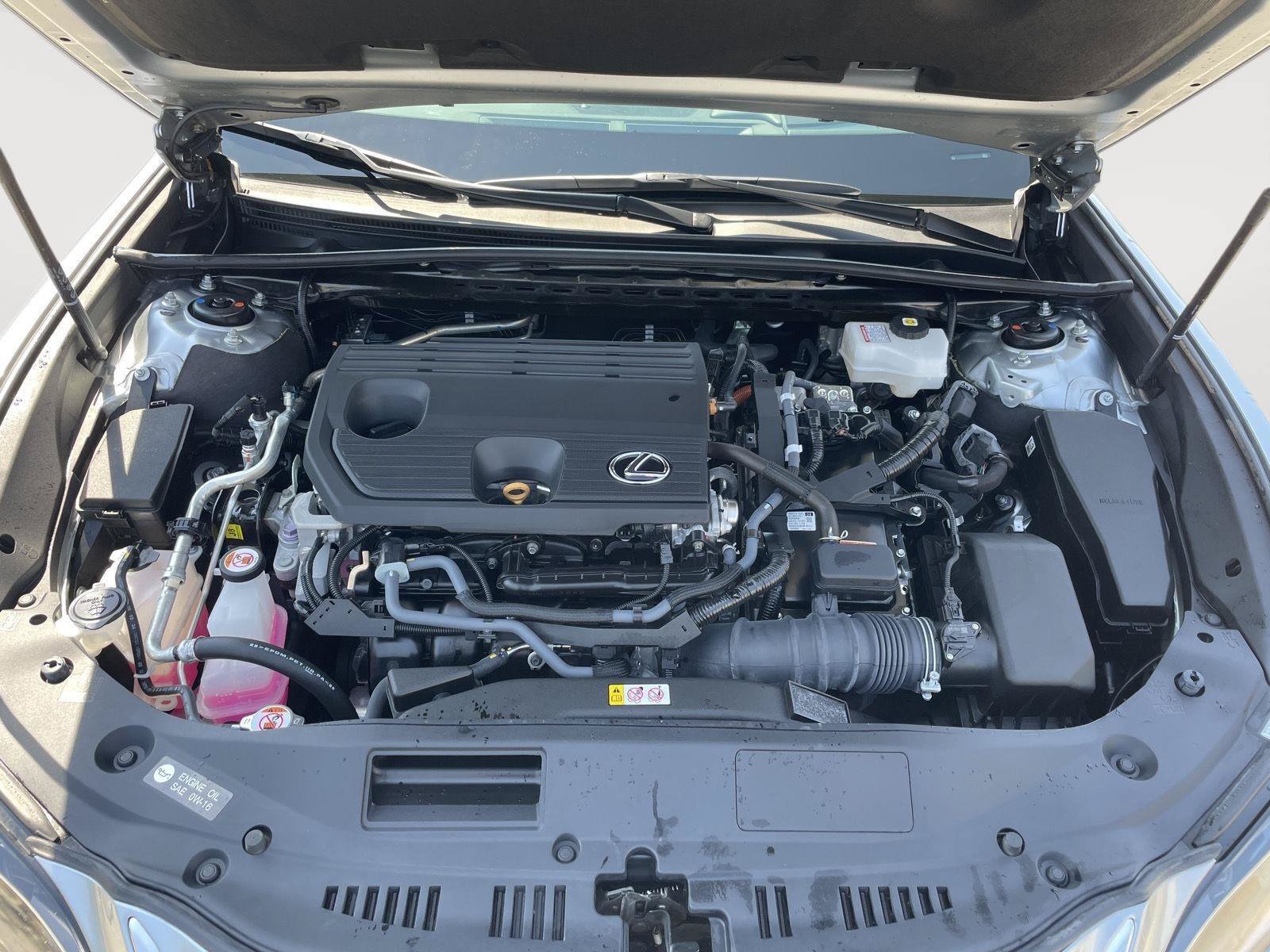 Used 2025 Lexus ES 300h w/ Premium Package FWD image 18