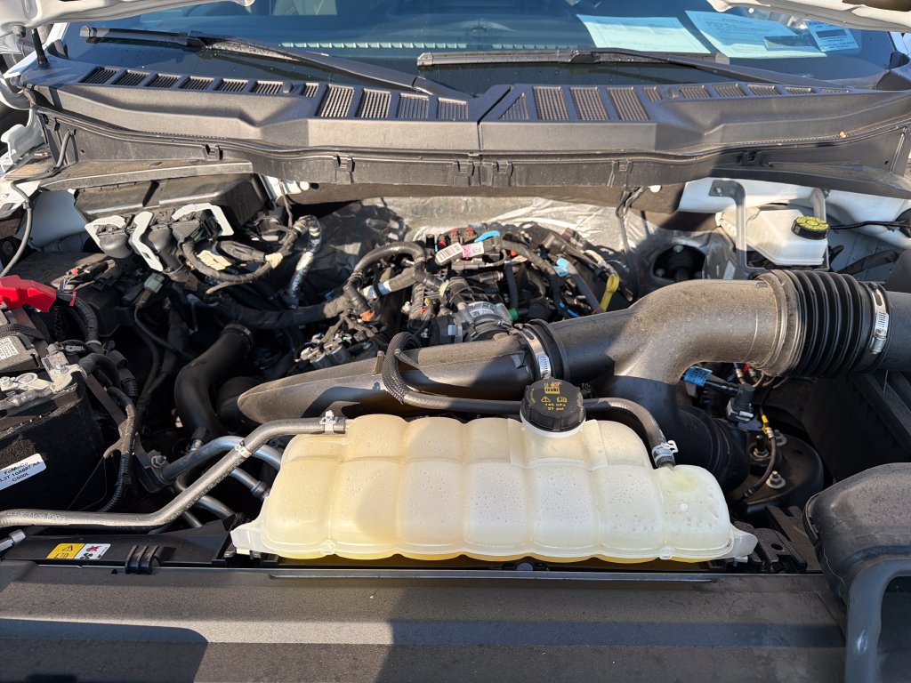 Used 2025 Ford F150 STX w/ Equipment Group 200A RWD image 18