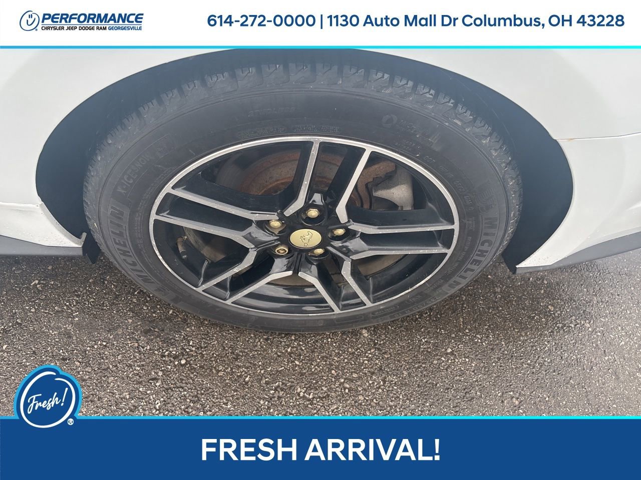 Used 2019 Ford Mustang Premium image 11