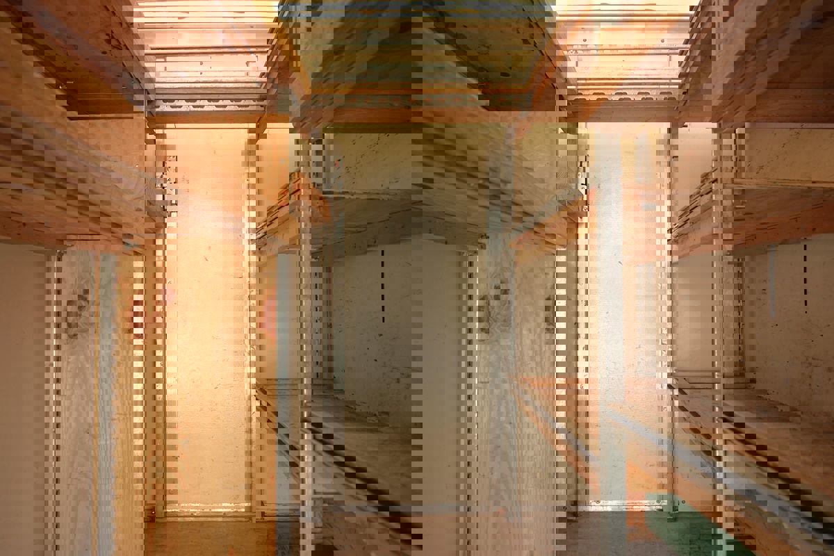 Used 2019 Ford Transit 350 156 w/ Exterior Upgrade Package image 33