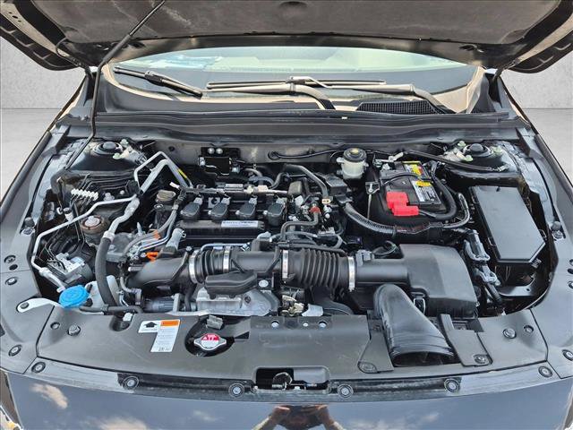 Used 2019 Honda Accord EX-L image 20