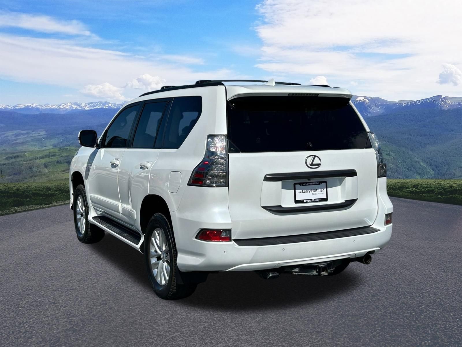 Used 2019 Lexus GX 460 Premium image 3