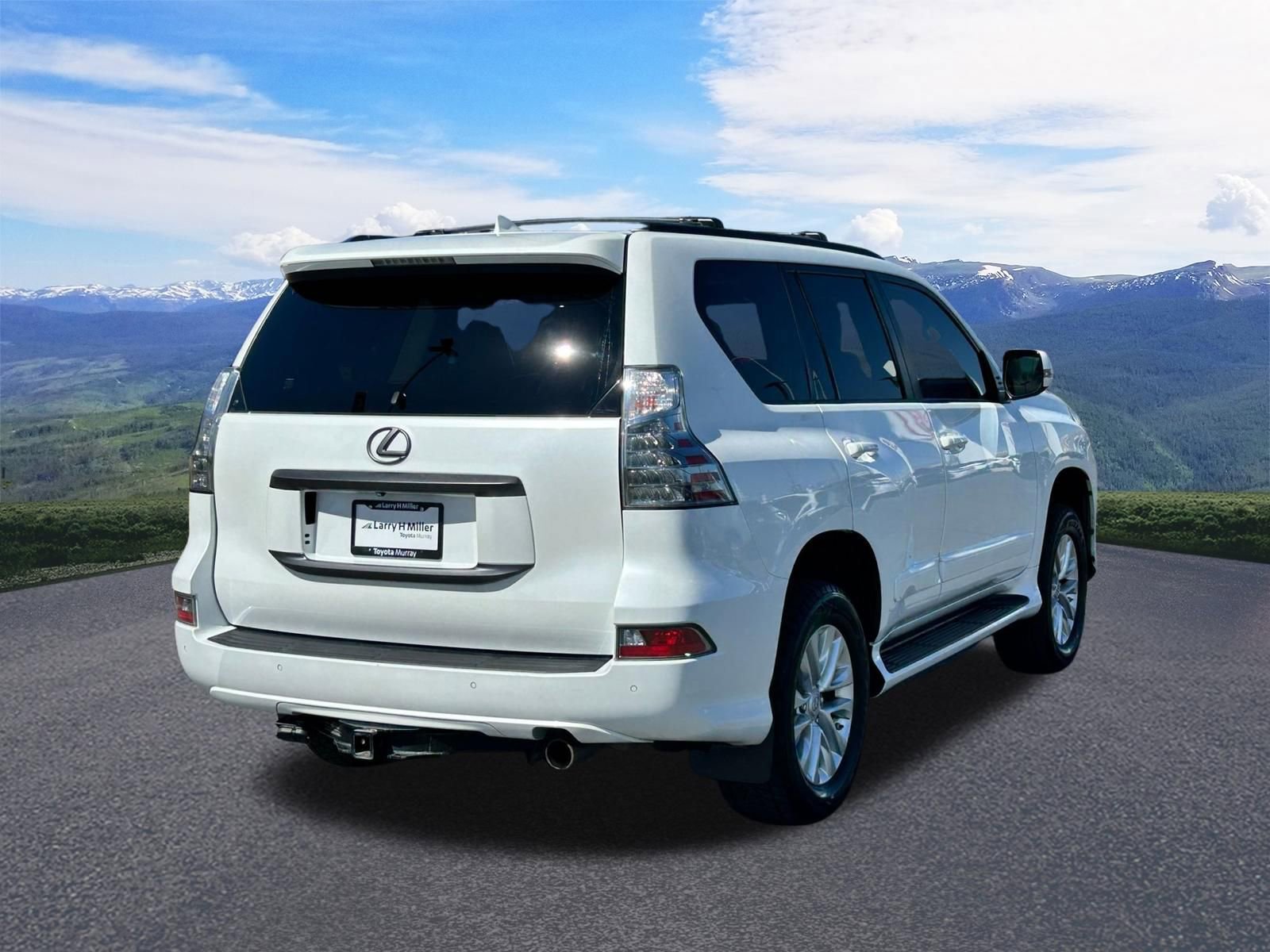 Used 2019 Lexus GX 460 Premium image 5
