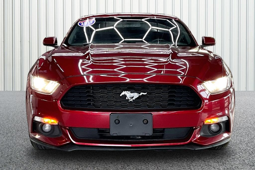 Used 2017 Ford Mustang Coupe w/ Equipment Group 051A RWD image 2