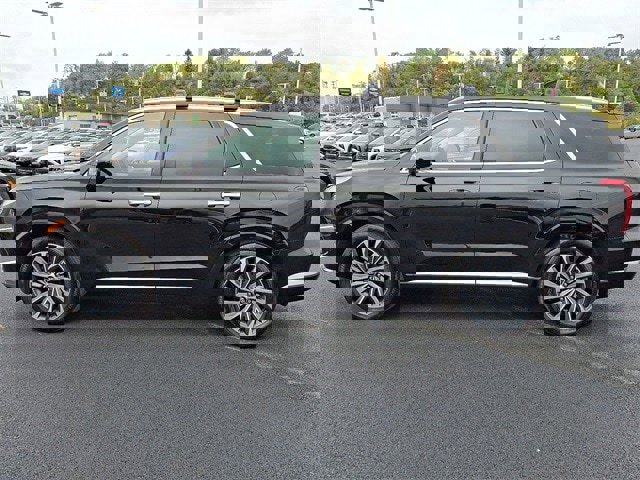 Certified 2024 Hyundai Palisade Calligraphy image 4