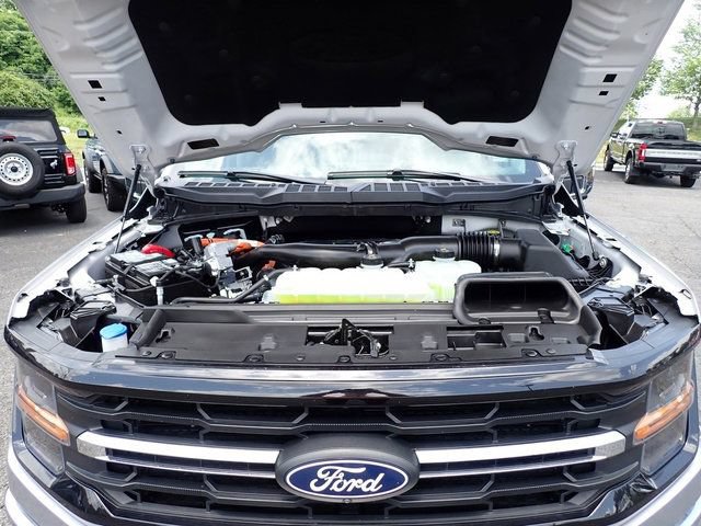 Used 2025 Ford F150 XLT w/ Equipment Group 302A MID AWD/4WD image 16