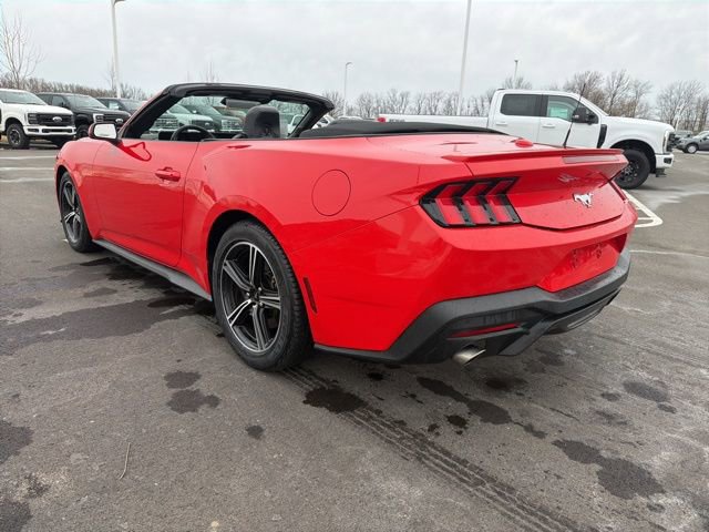 Used 2024 Ford Mustang Premium image 10