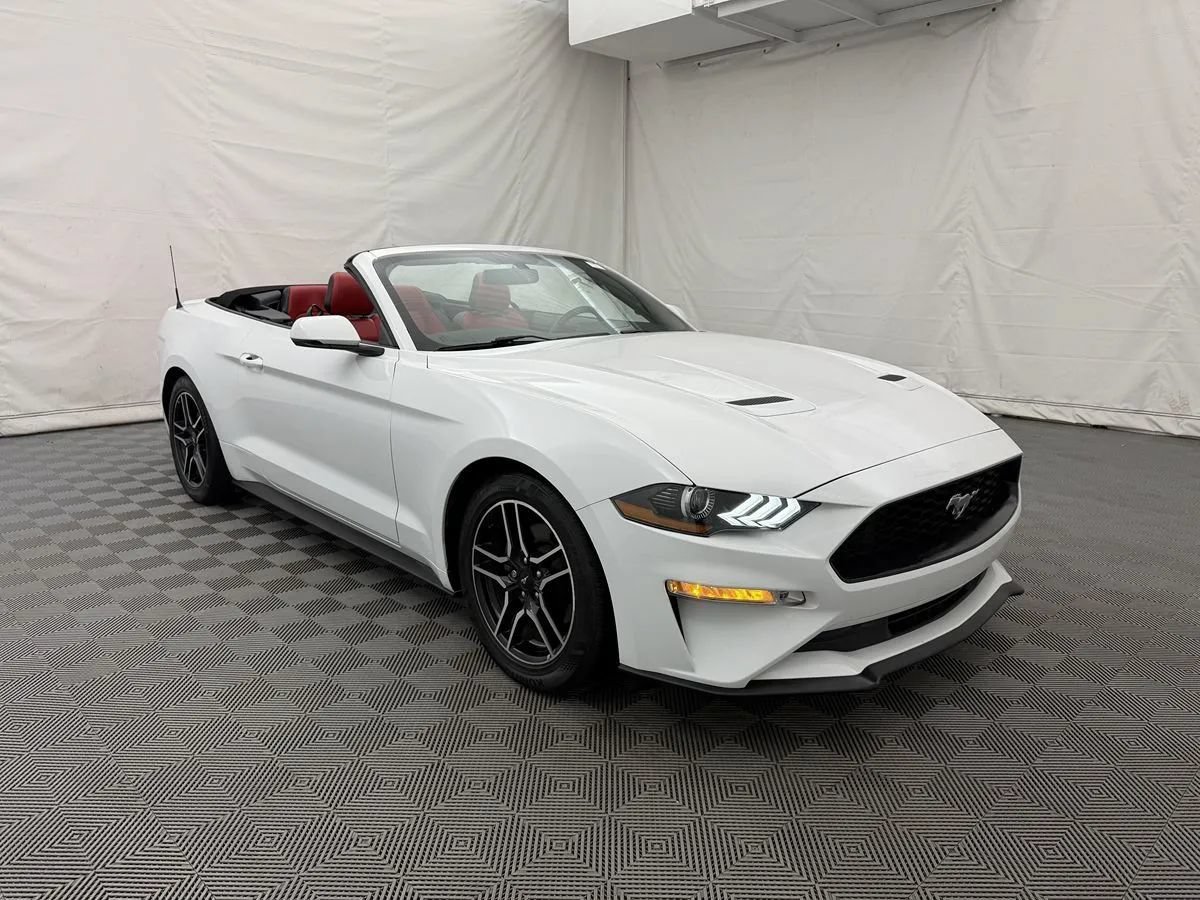 Used 2018 Ford Mustang Premium w/ Equipment Group 201A RWD image 4