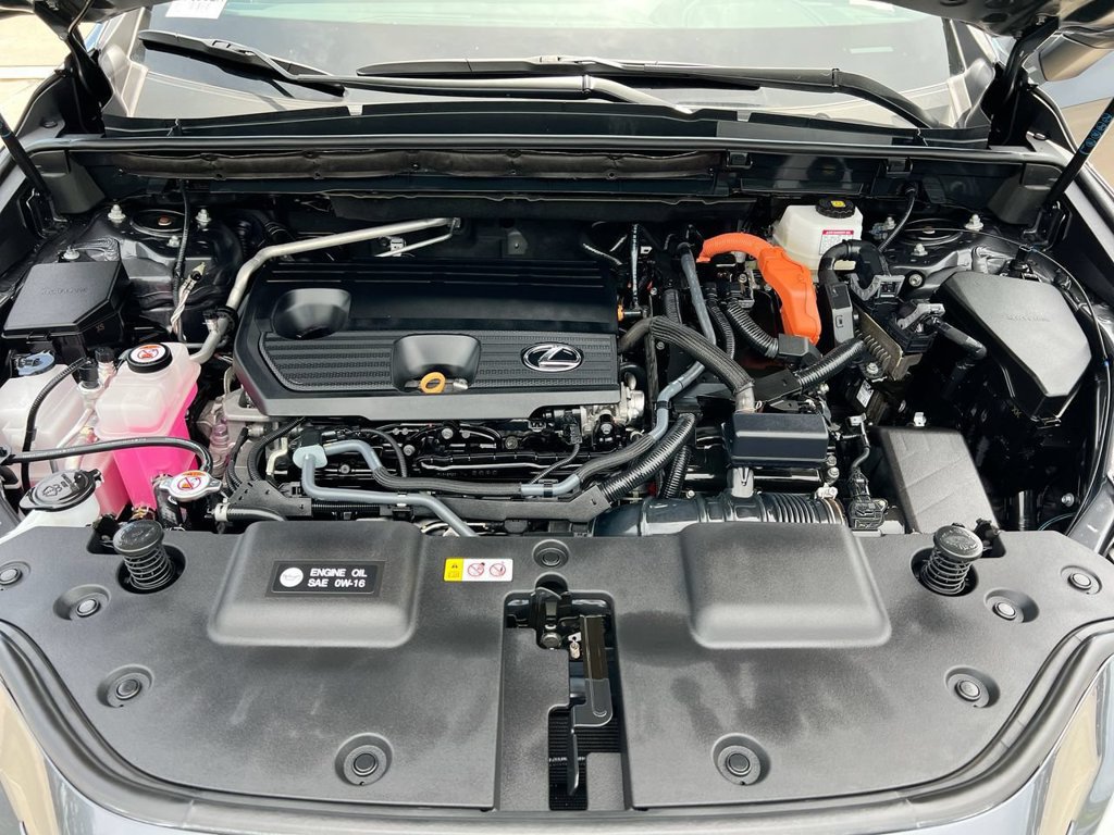 Certified 2024 Lexus NX 350h AWD w/ Cold Area Package image 10