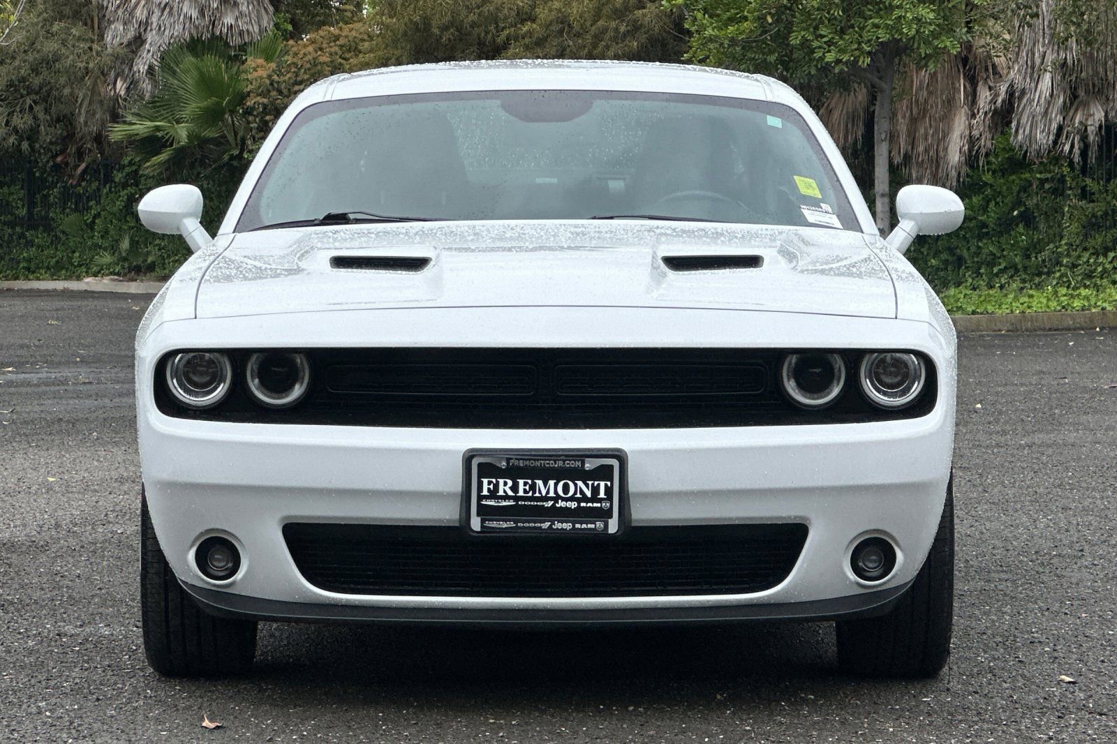 Used 2022 Dodge Challenger SXT w/ Blacktop Package image 8