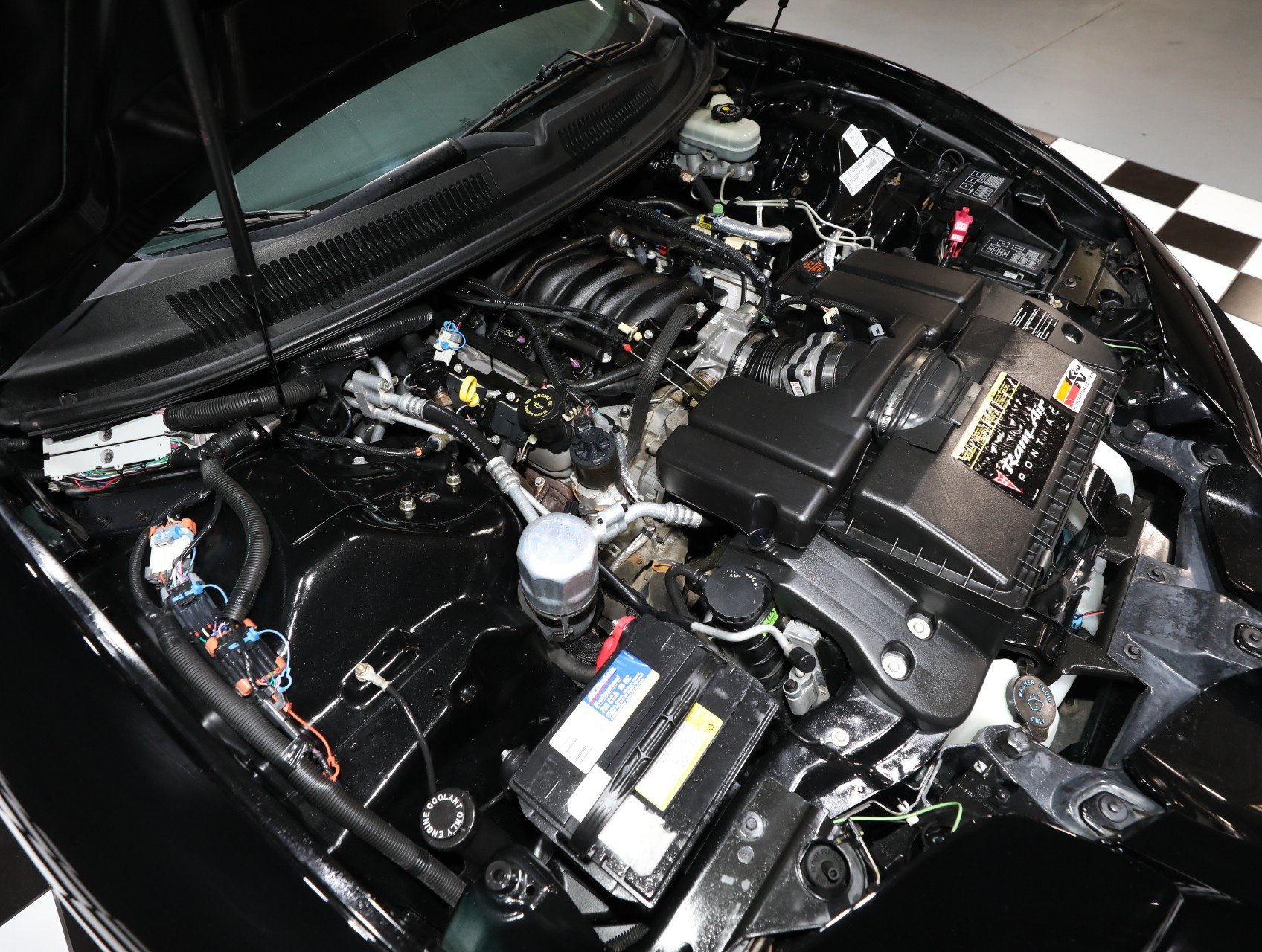 Used 1999 Pontiac Firebird Trans Am RWD image 80