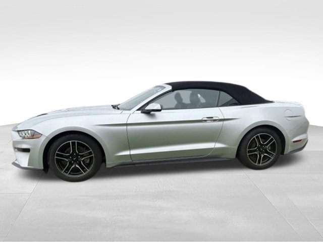 Used 2018 Ford Mustang Premium w/ Equipment Group 201A RWD image 13