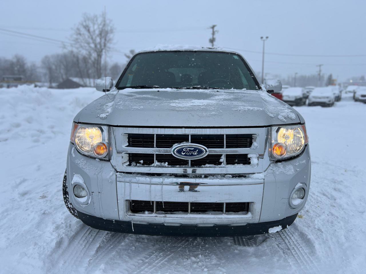 Used 2011 Ford Escape Limited w/ 302A Rapid Spec Order Code image 12