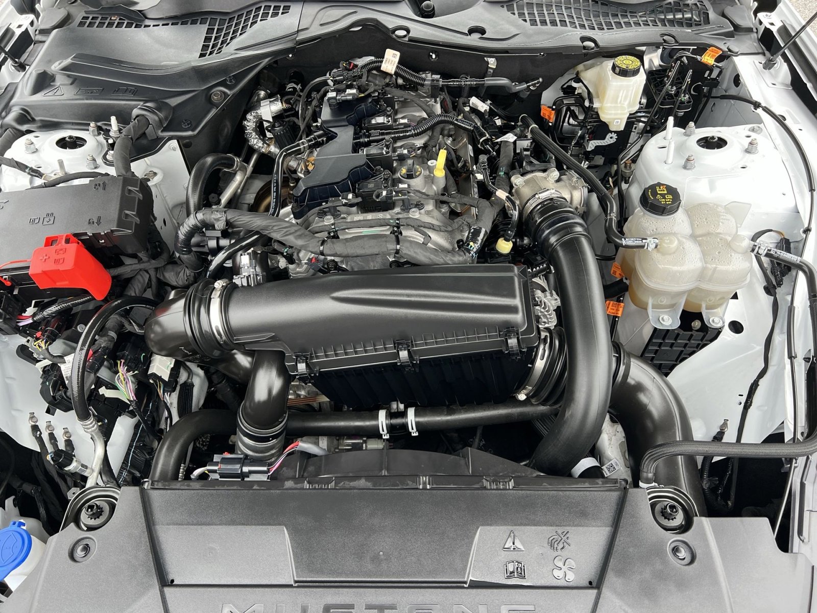 Certified 2025 Ford Mustang Coupe image 25