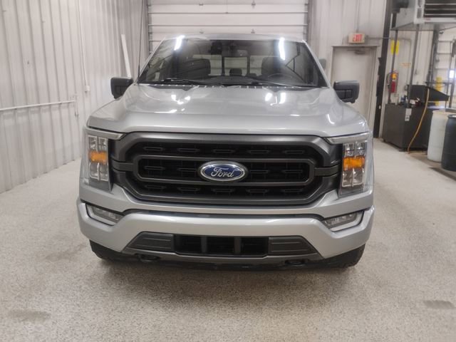 Used 2023 Ford F150 XLT w/ Equipment Group 302A High image 5
