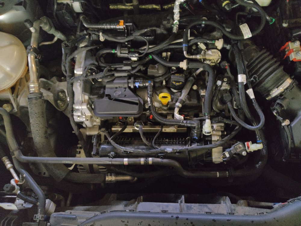 Used 2021 Ford Escape SE FWD image 30