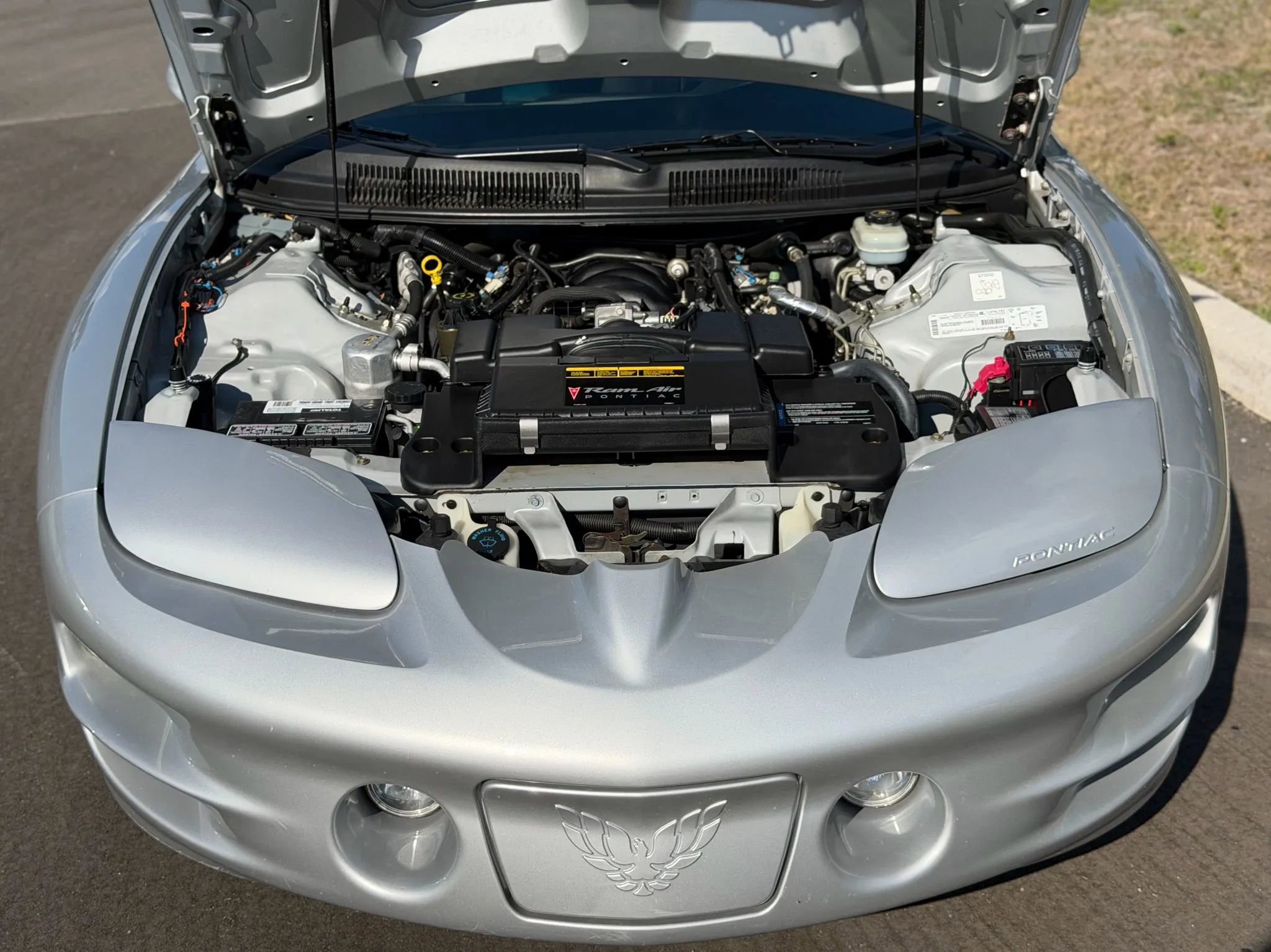 Used 2000 Pontiac Firebird Formula image 90