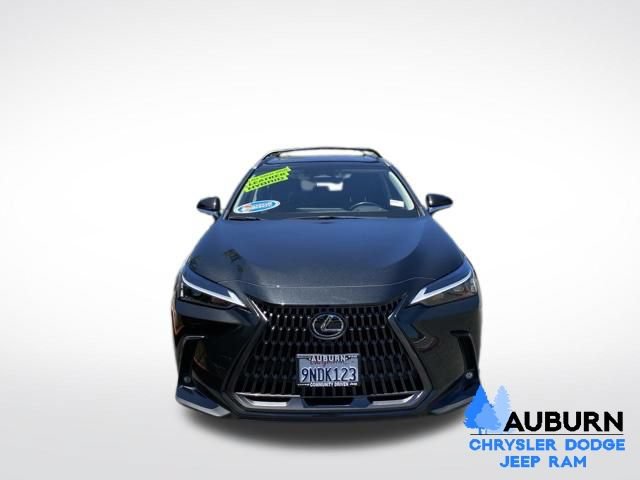 Used 2025 Lexus NX 350h AWD w/ Cold Area Package image 2