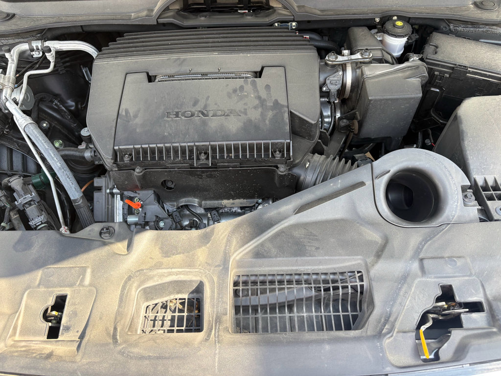 Certified 2025 Honda Pilot Elite image 39