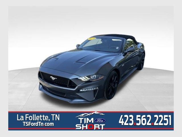 Used 2019 Ford Mustang GT Premium w/ Equipment Group 401A RWD image 1