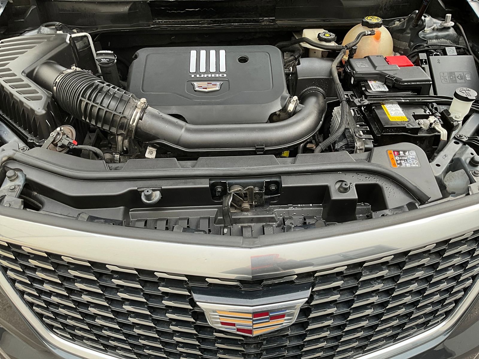 Certified 2022 Cadillac XT5 Premium Luxury image 17