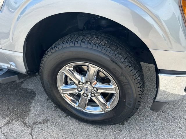 Used 2025 Ford F150 XLT w/ Equipment Group 301A Standard AWD/4WD image 13