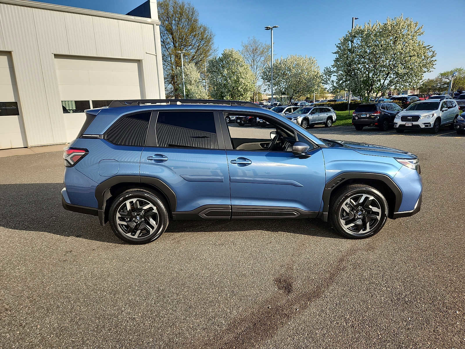 Used 2025 Subaru Forester Limited image 7