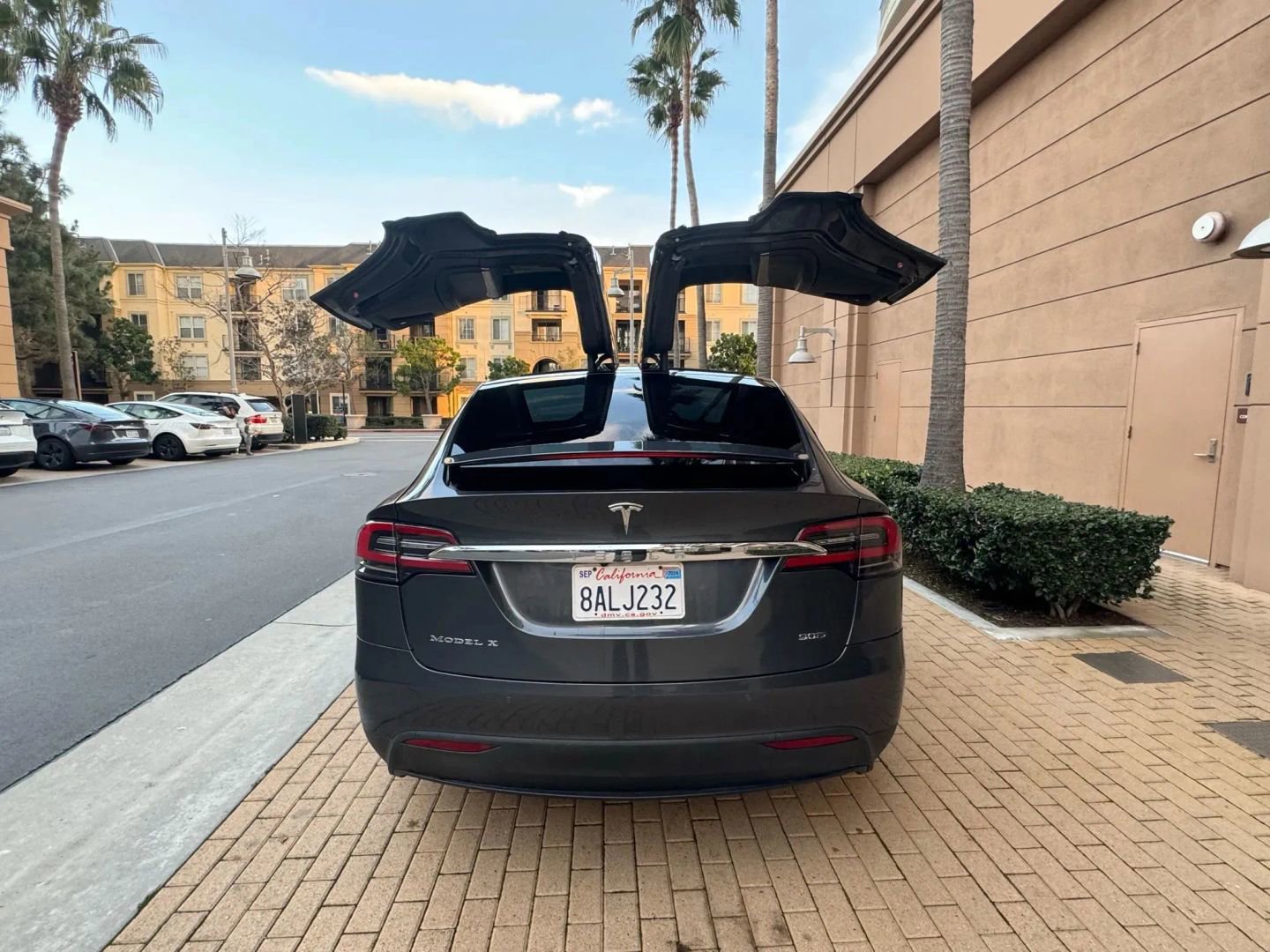 Used 2017 Tesla Model X 90D image 6