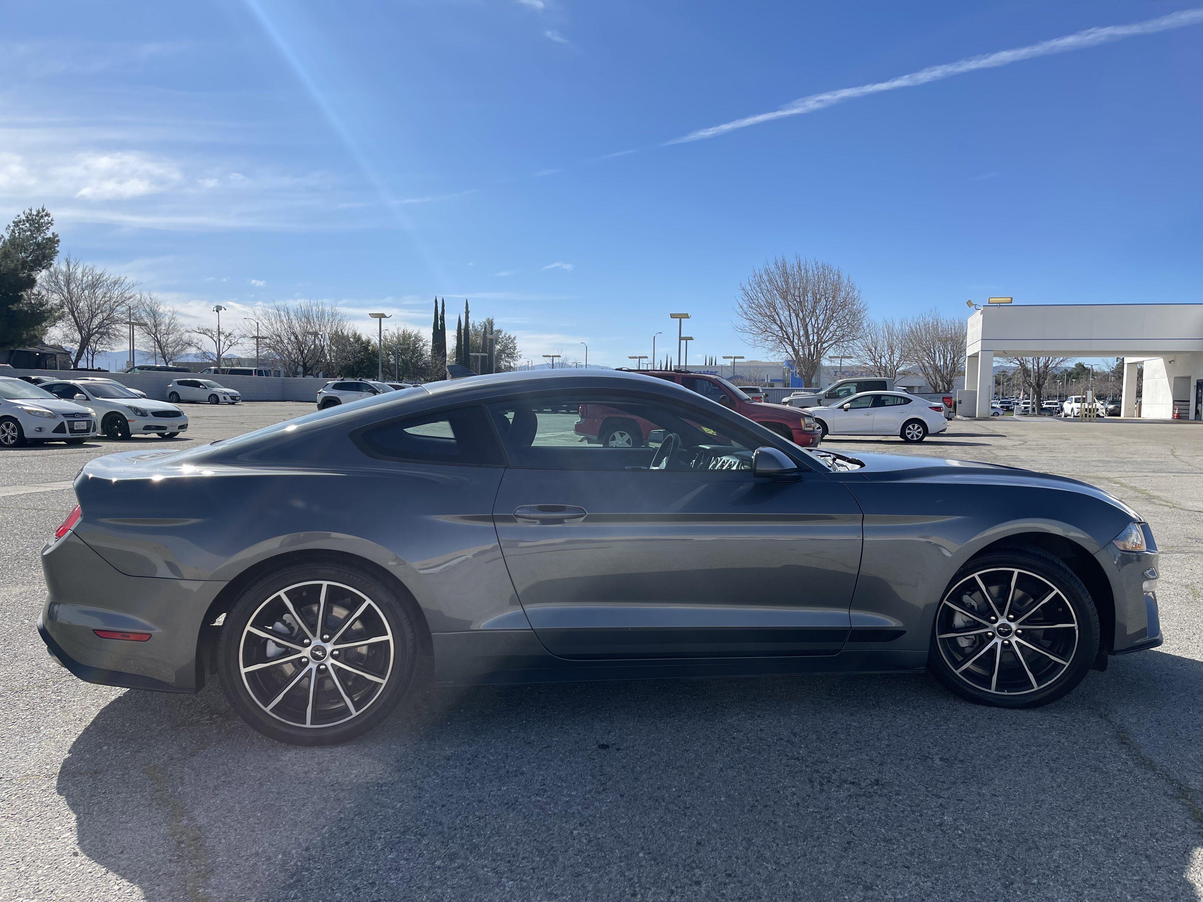 Used 2022 Ford Mustang EcoBoost image 5