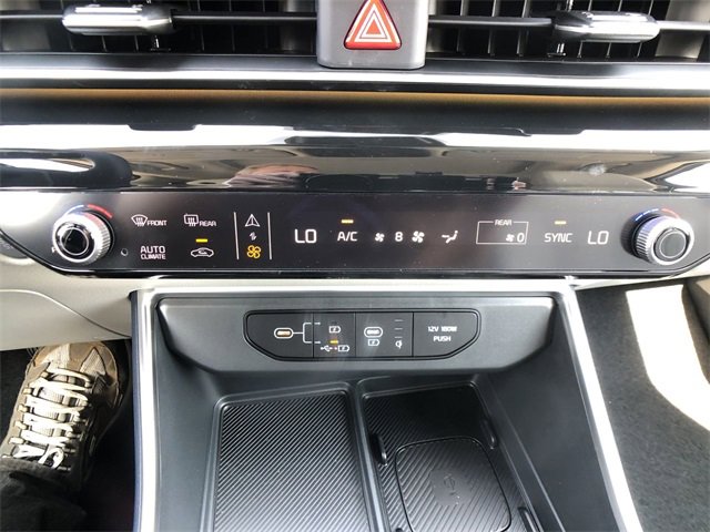 New 2026 Kia Carnival SX Prestige image 19