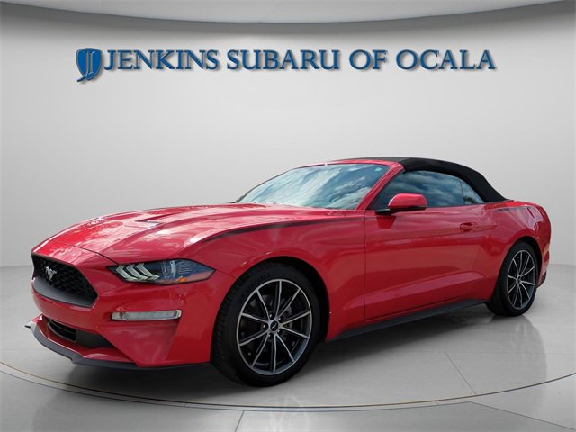 Used 2019 Ford Mustang Premium w/ Equipment Group 201A image 4