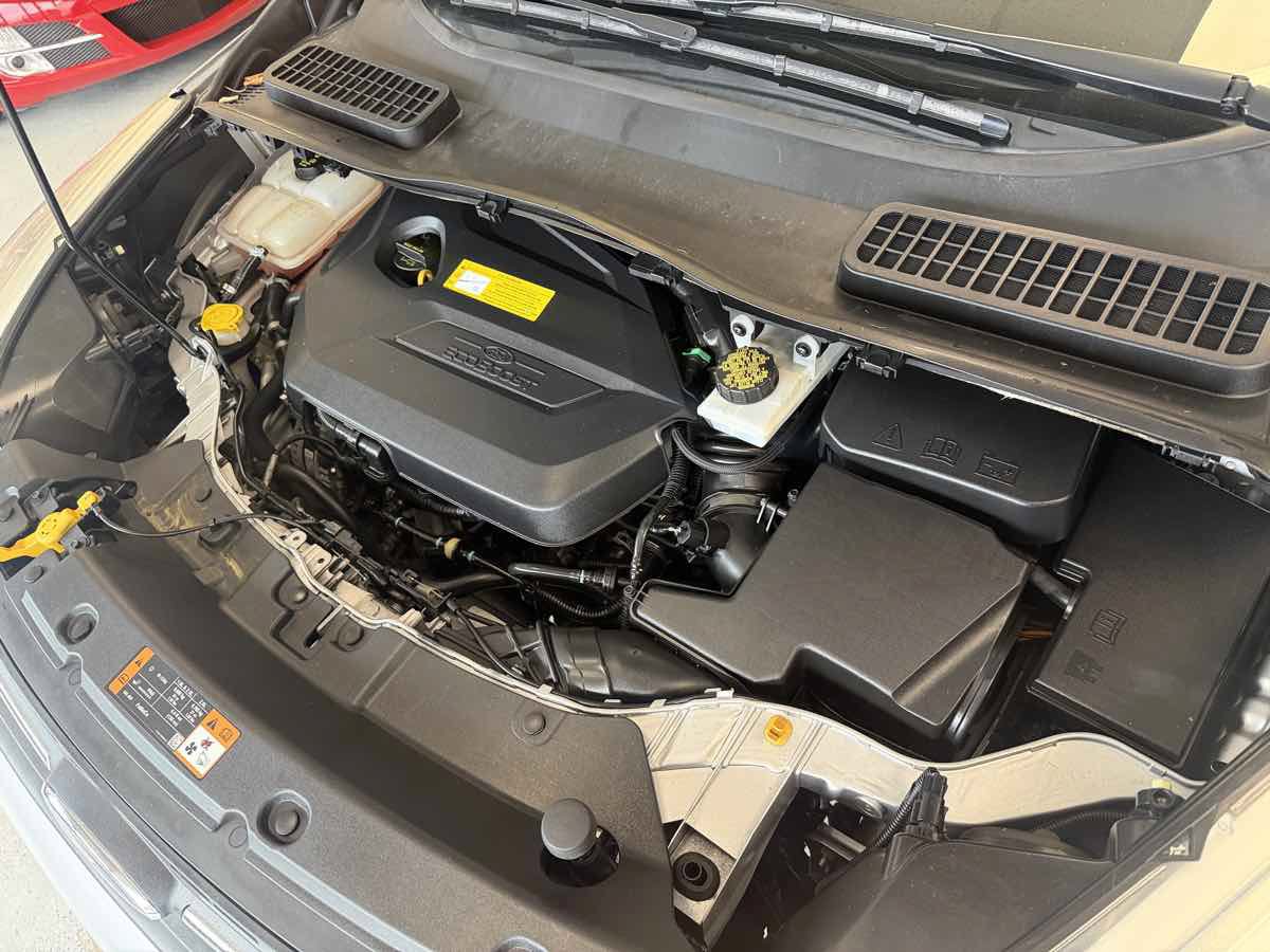 Used 2016 Ford Escape SE w/ SE Leather Comfort Package FWD image 30
