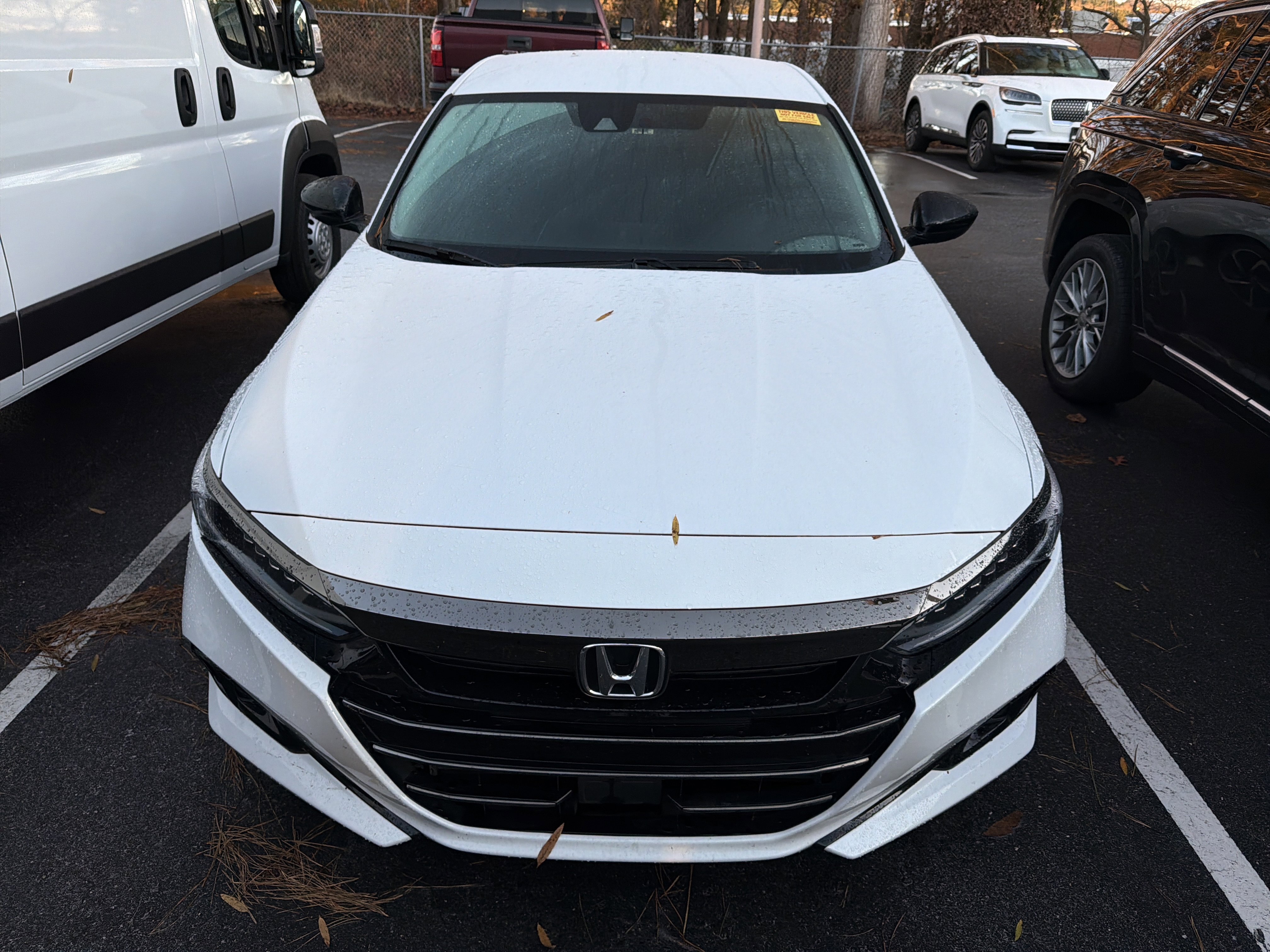 Used 2022 Honda Accord Sport Special Edition image 3