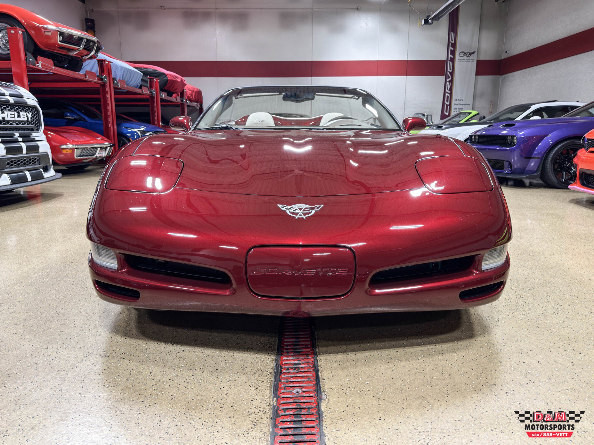 Used 2003 Chevrolet Corvette 50TH Anniversary Convertible w/ Preferred Equipment Group1 image 8