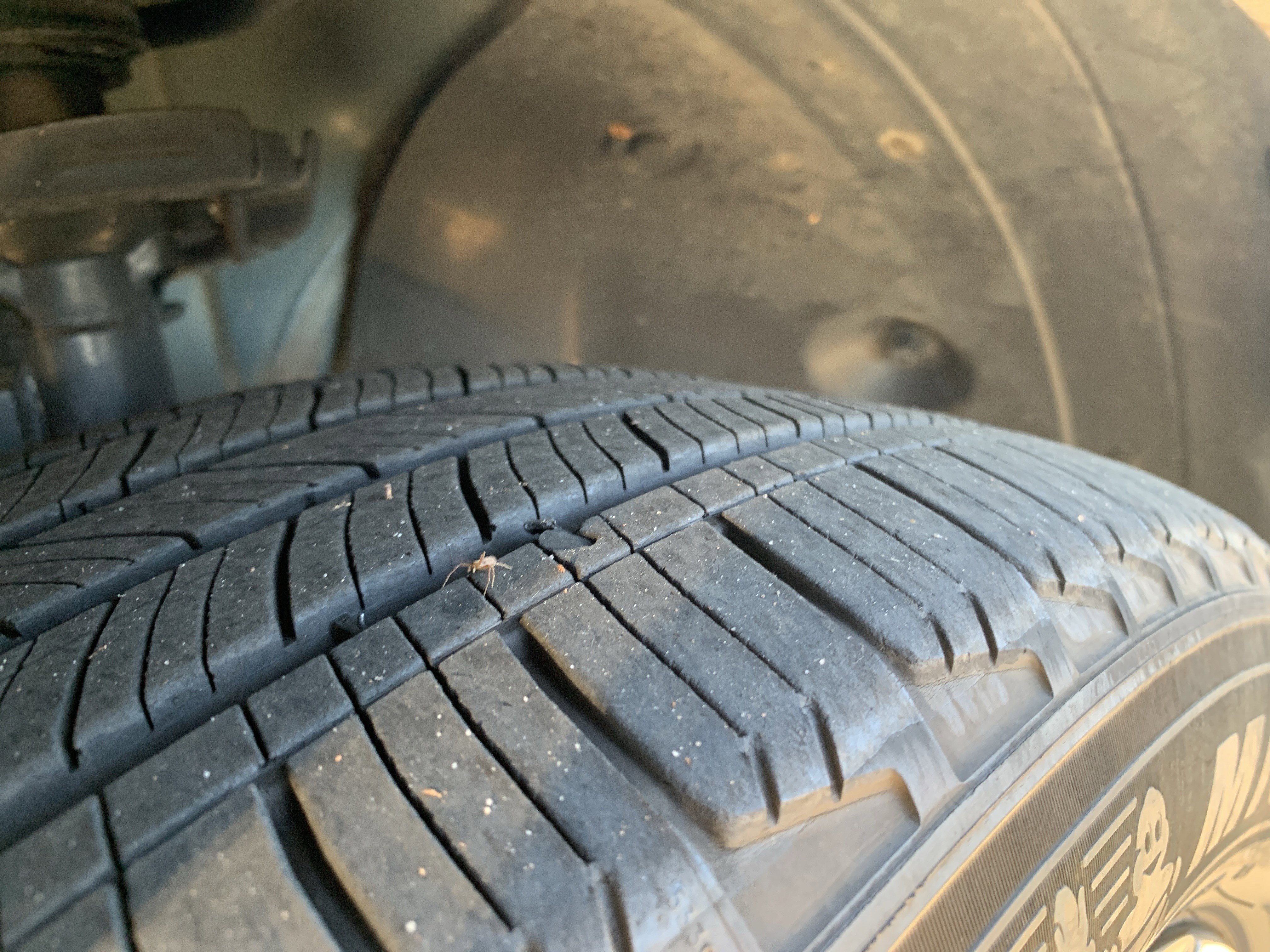 Used 2023 Kia Sportage X-Line image 12