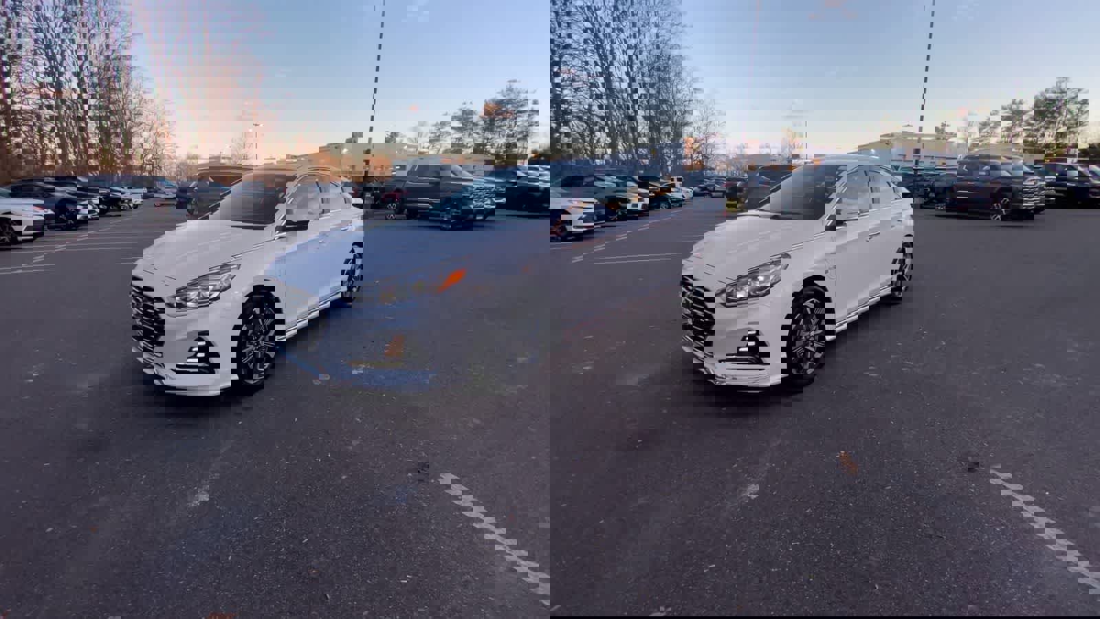 Used 2019 Hyundai Sonata Limited image 12