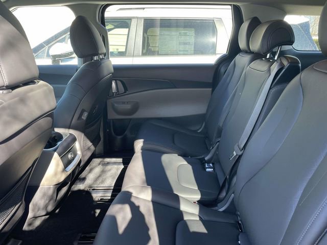 New 2026 Kia Carnival image 4