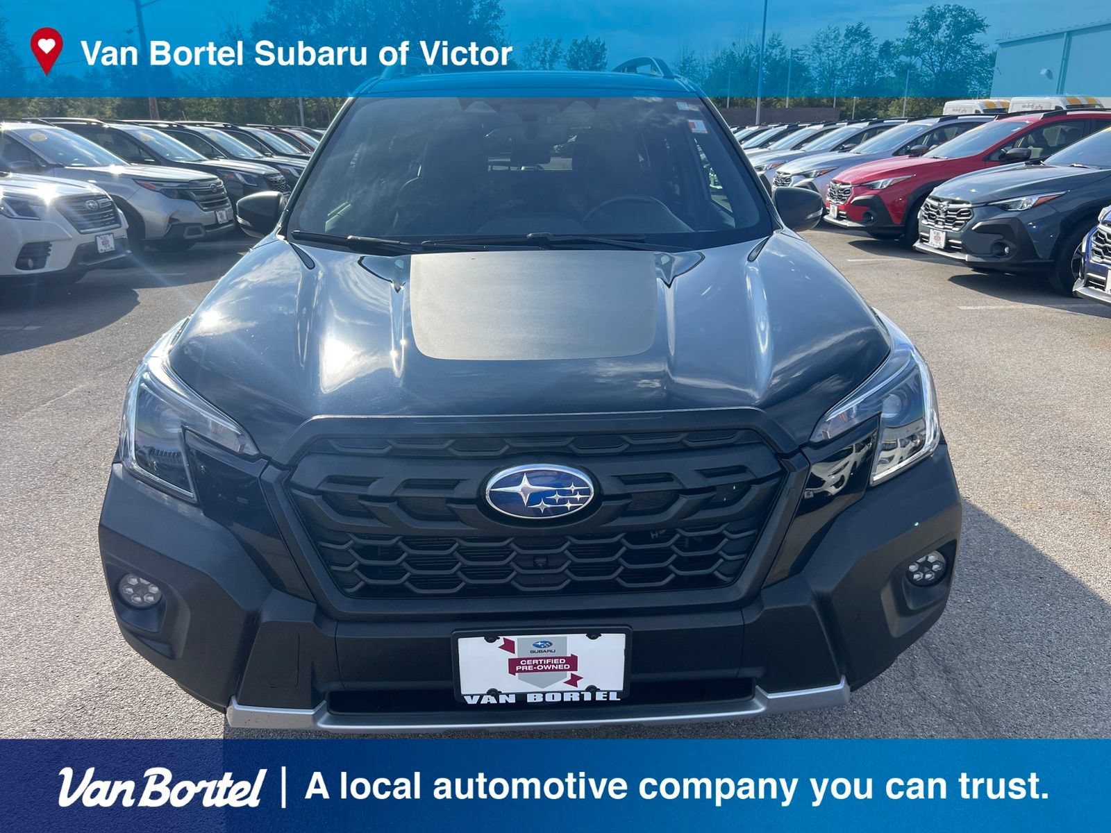 Certified 2024 Subaru Forester Wilderness AWD/4WD image 2