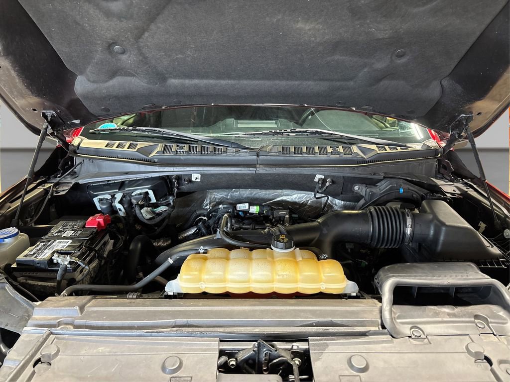 Used 2019 Ford F150 XLT w/ Equipment Group 302A Luxury AWD/4WD image 15