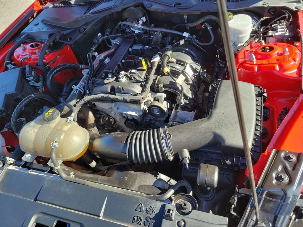 Used 2021 Ford Mustang Coupe w/ Equipment Group 101A image 9