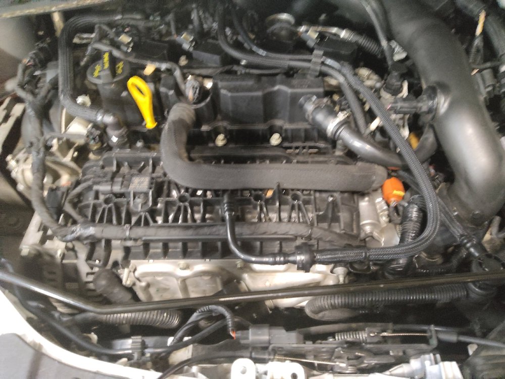 Used 2018 Ford Escape SEL FWD image 30