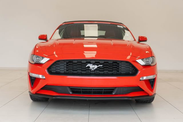 Used 2019 Ford Mustang Premium w/ Equipment Group 201A RWD image 6