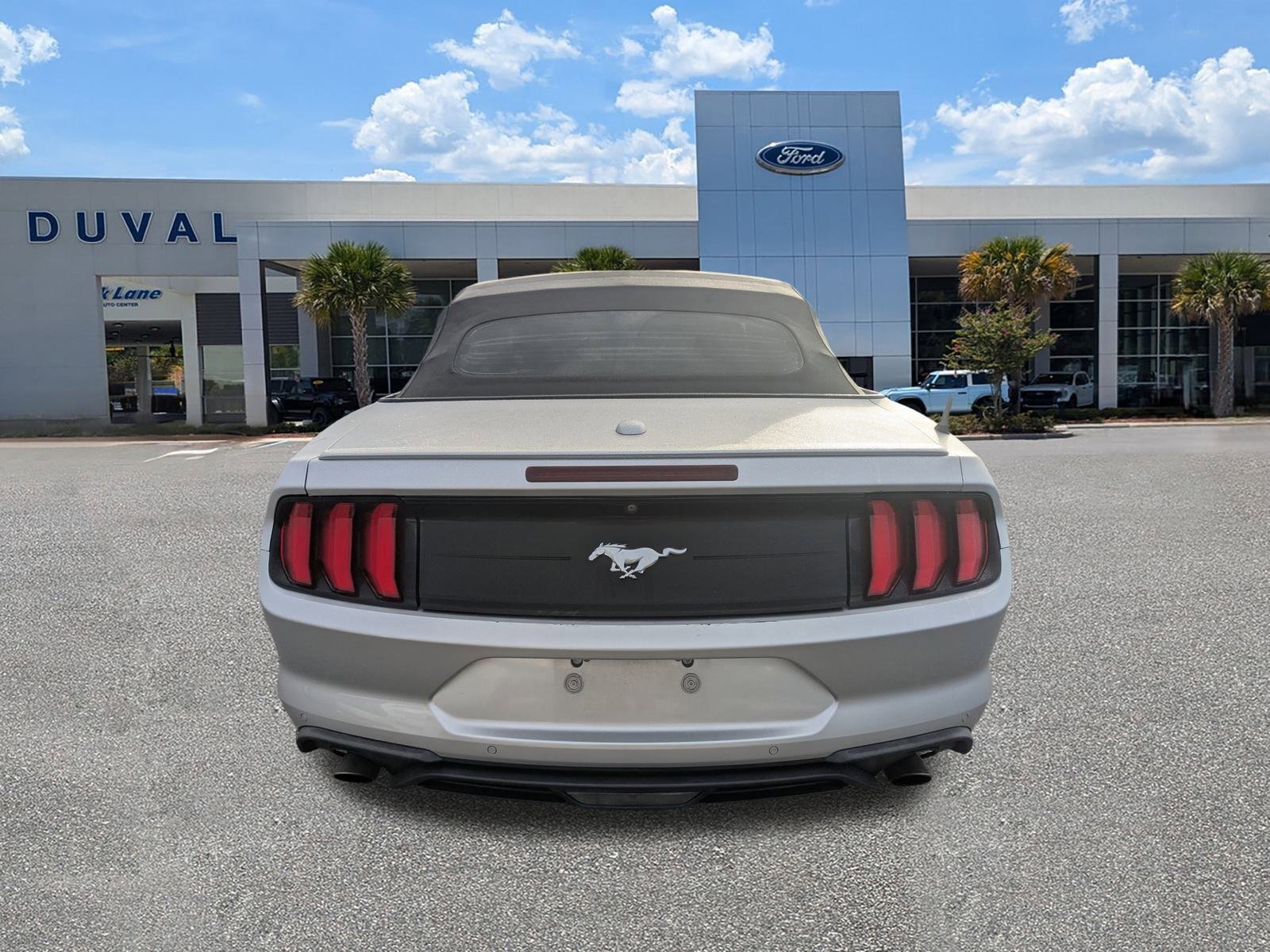 Used 2019 Ford Mustang Premium image 5