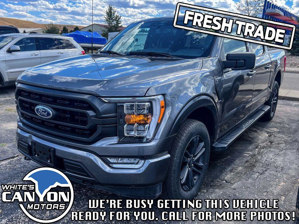 Used 2023 Ford F150 XLT w/ Equipment Group 302A High image 4
